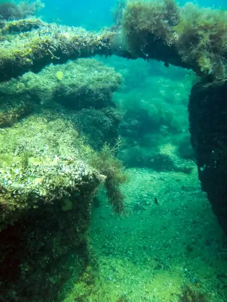 Scuba Diving in Cartagena