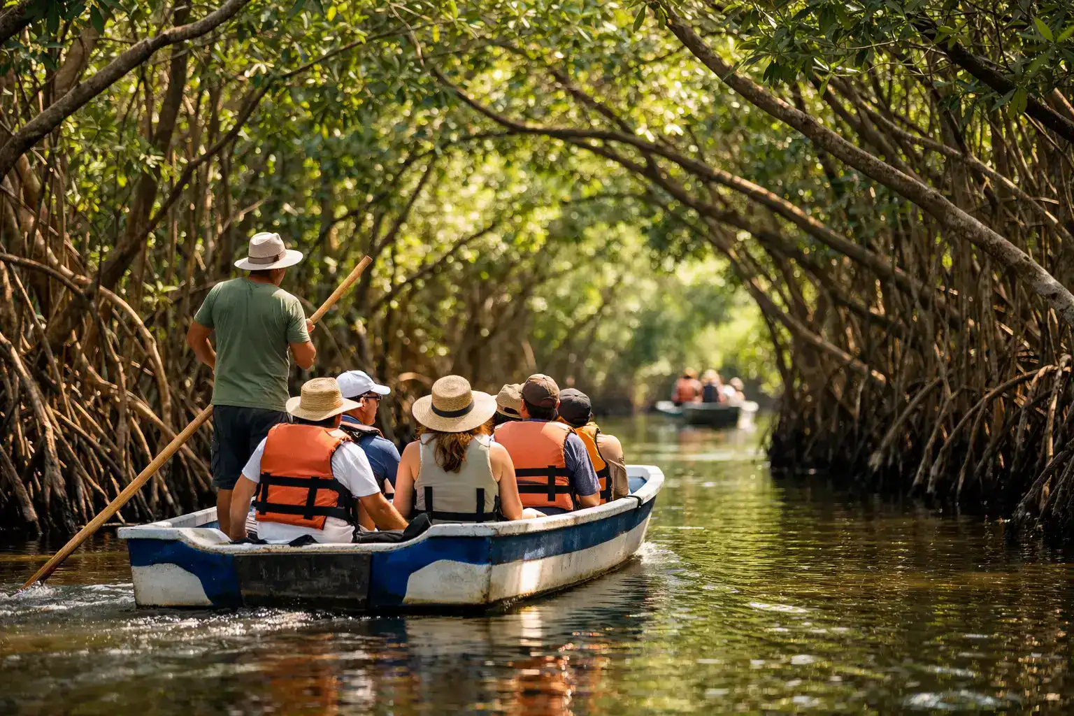 Cartagena Mangrove Tour: What to Expect